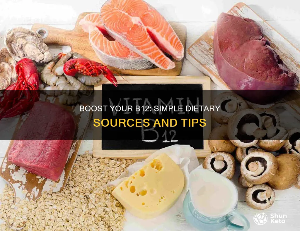 how to add vitamin b12 to your diet