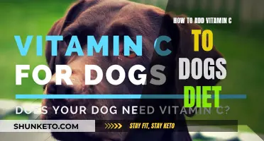 Vitamin C for Dogs: Natural Sources and Supplements