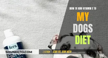 Vitamin E for Dogs: Natural Sources and Benefits
