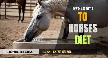 Hydration for Horses: Adding Water to Their Diet