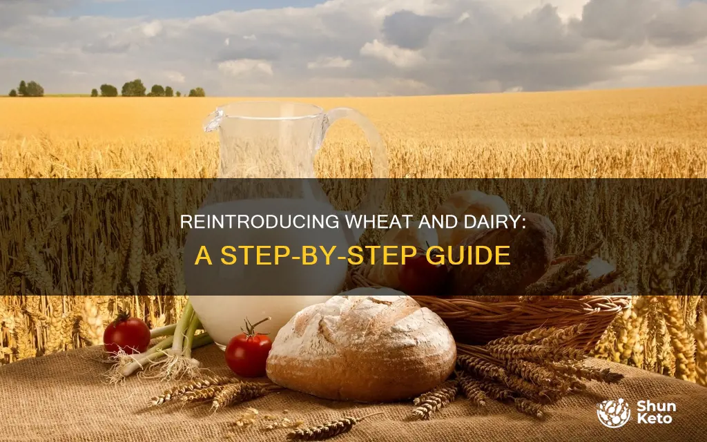 how to add wheat and dairy back to your diet