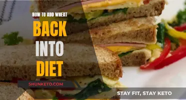 Wheat Reintroduction: A Step-by-Step Guide to Eating Wheat Again