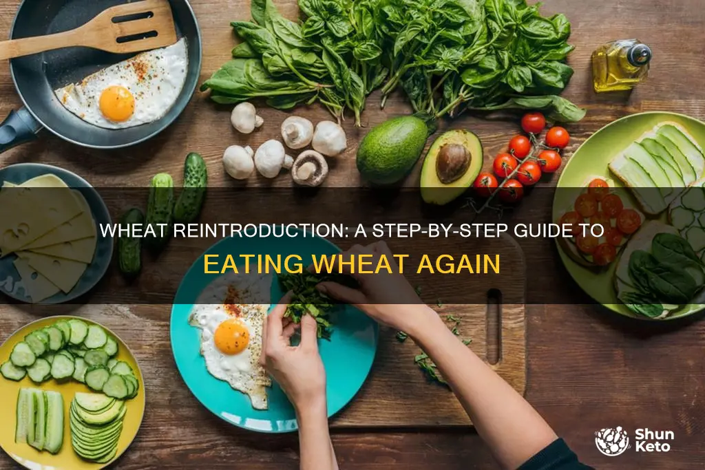 how to add wheat back into diet