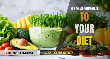 Wheatgrass Wonders: Easy Ways to Add to Your Diet
