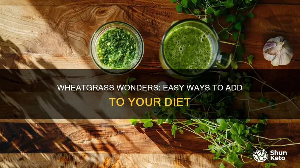 how to add wheatgrass to your diet