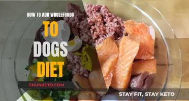 Wholefoods for Dogs: A Guide to Healthy Eating