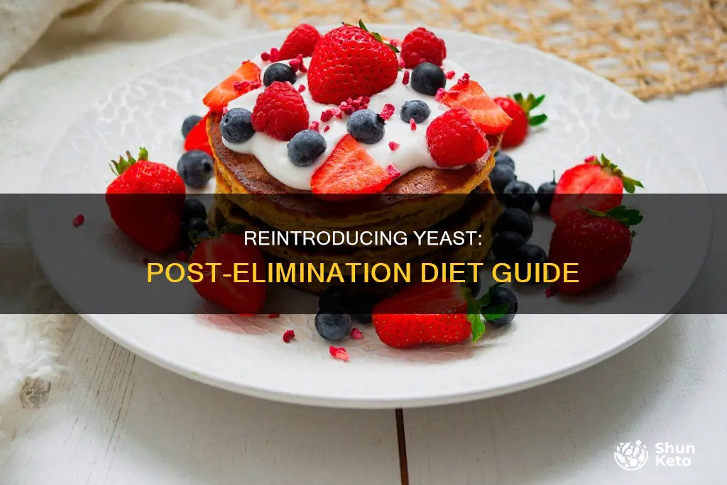how to add yeast back from an elimnation diet
