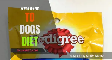 Zinc for Dogs: The Right Dietary Additions