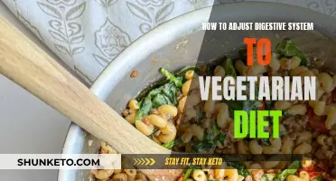 Adjusting Your Digestive System to a Vegetarian Diet