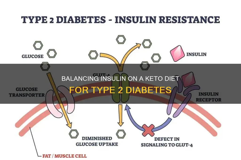 how to adjust insulin type 2 diabetic keto diet