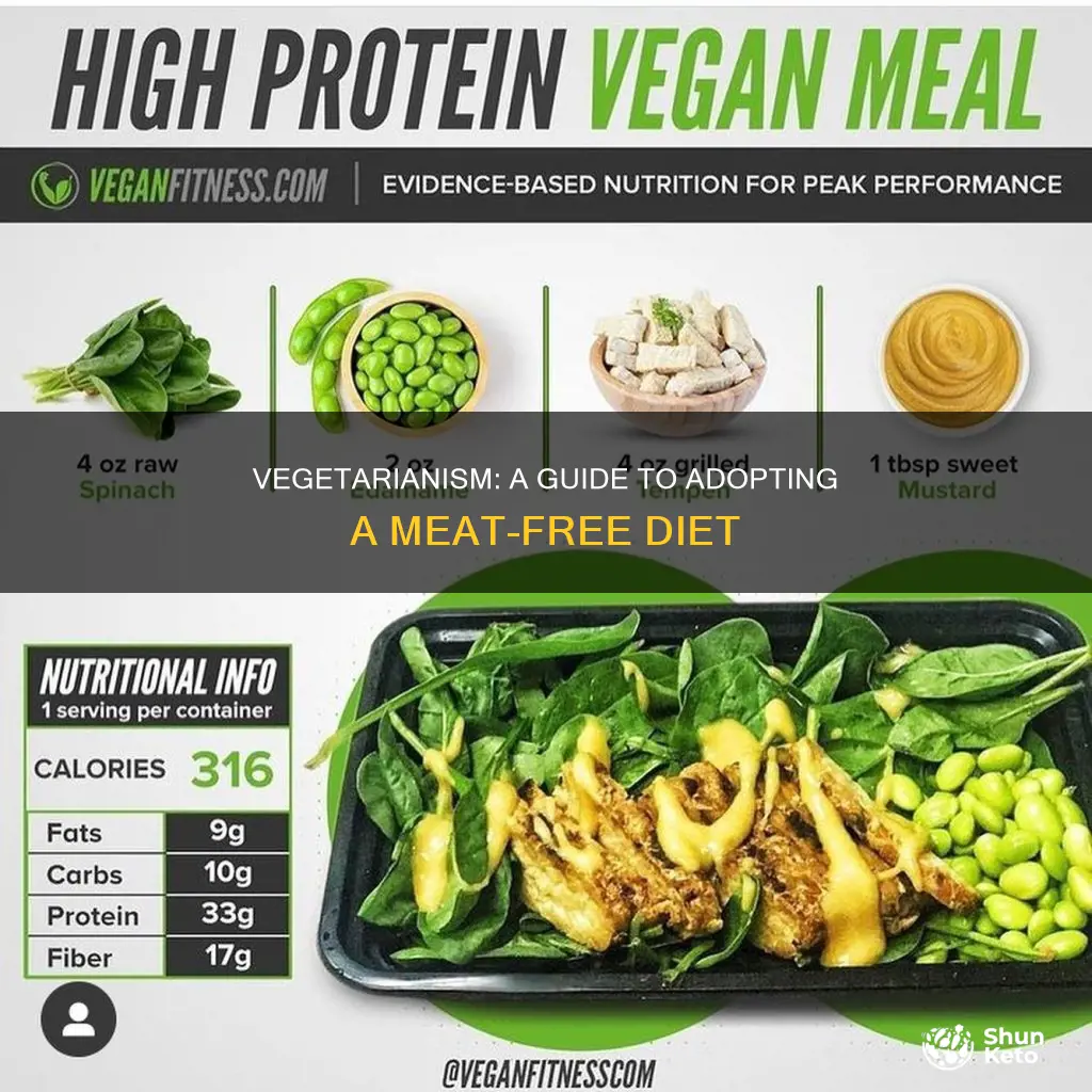 how to adopt a vegetarian diet