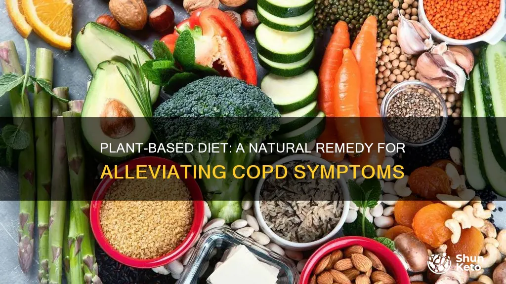 how to alleviate copd with plant based diet