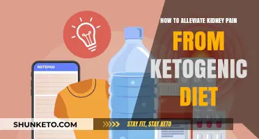 Relieving Kidney Pain from a Ketogenic Diet