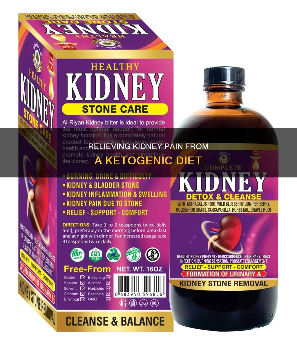 how to alleviate kidney pain from ketogenic diet