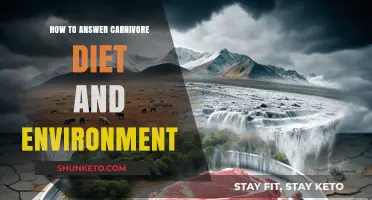 Meat-Based Diets: Environmental Impact and Ethical Questions