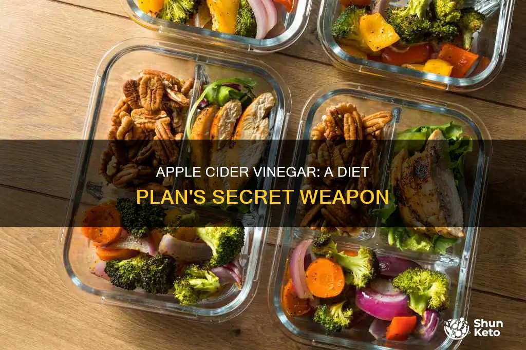 how to apply apple cider vinegar to a diet plan