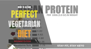 Vegetarian Diet: Perfecting Your Meat-Free Eating Habits