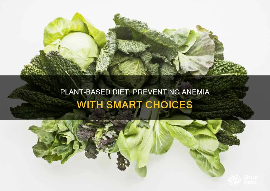 how to avoid anemia on a plant based diet