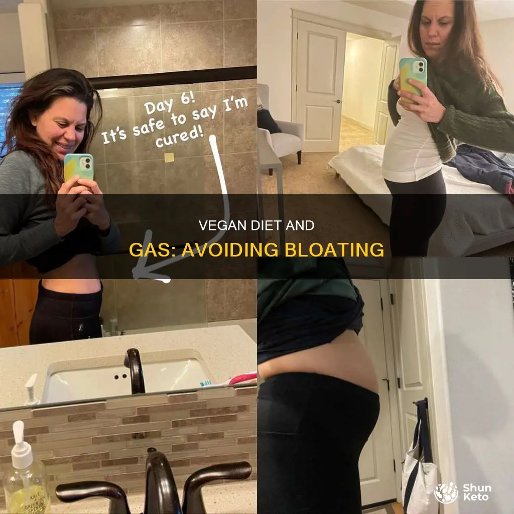 how to avoid bloating and gas on vegan diet