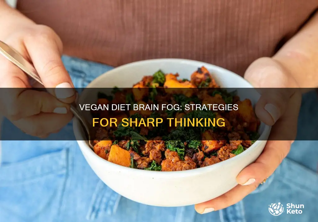 how to avoid brain fog on a vegan diet