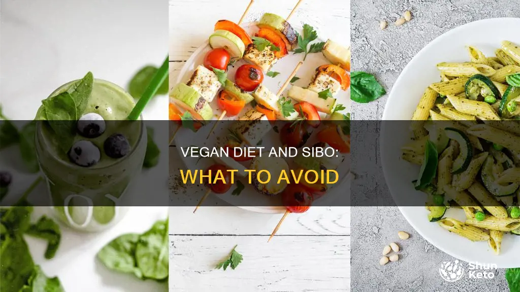 how to avoid sibo in vegan diet