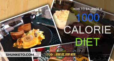 Smartly Balancing a 1000-Calorie Diet for Optimal Results