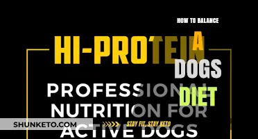 Balancing Your Dog's Diet: A Guide to Nutrition