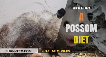 Possum Diet: Balancing Nutrition for Optimum Health