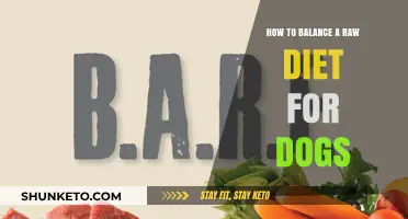 Raw Diet for Dogs: Balancing Your Pup's Nutrition