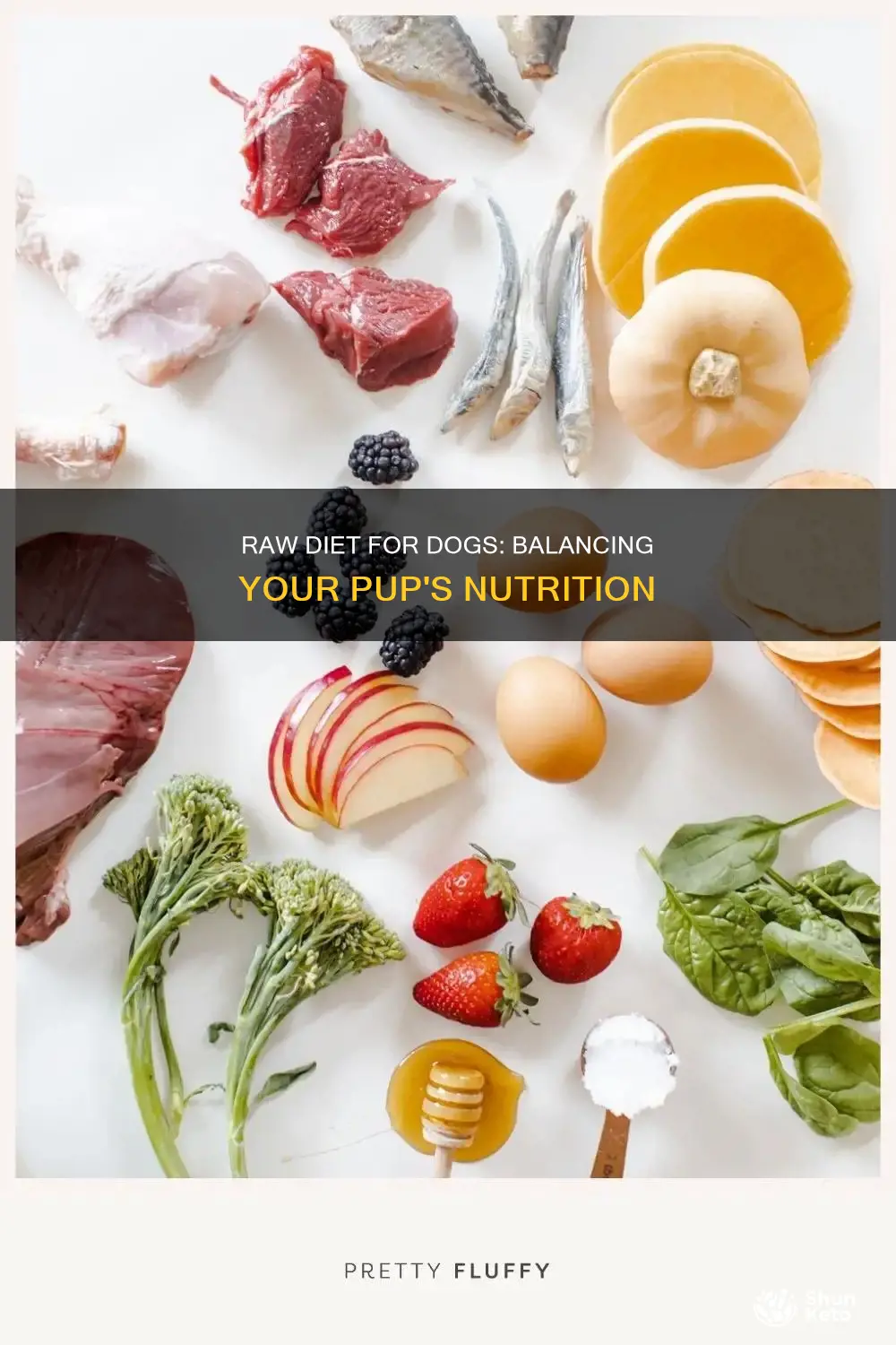 how to balance a raw diet for dogs