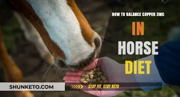 Balancing Act: Copper & Zinc in Horse Nutrition