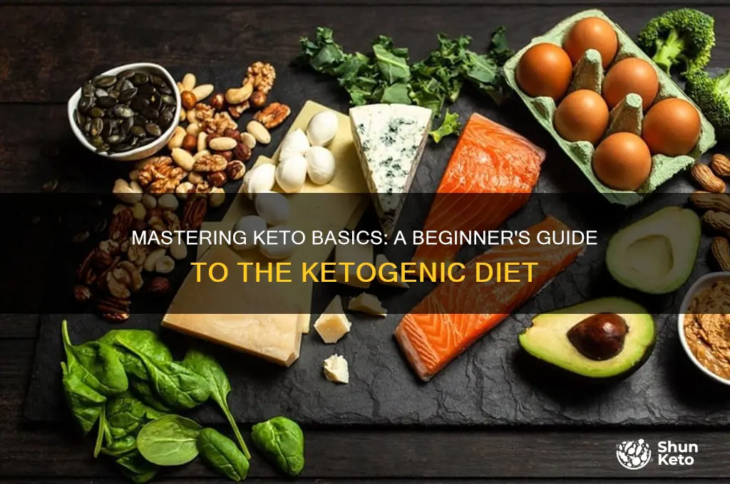 how to basics of the keto diet