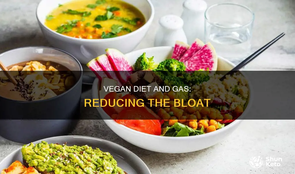 how to be less gassy on a vegan diet