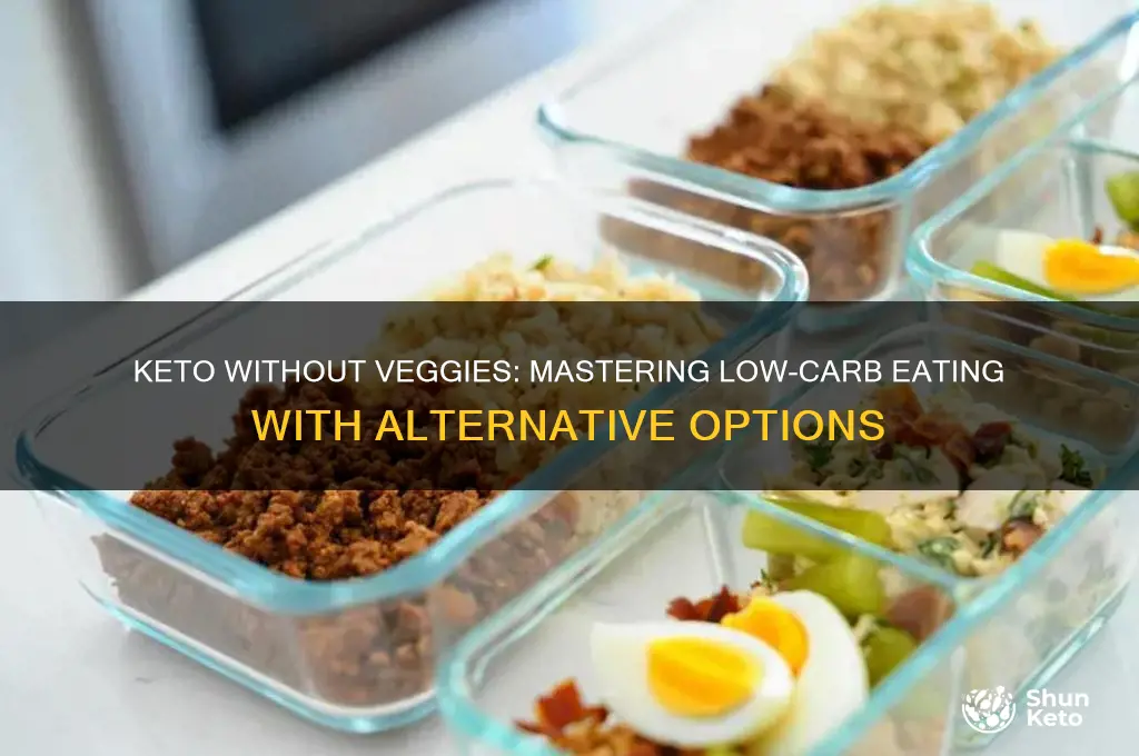 how to be on the keto diet without vegetables