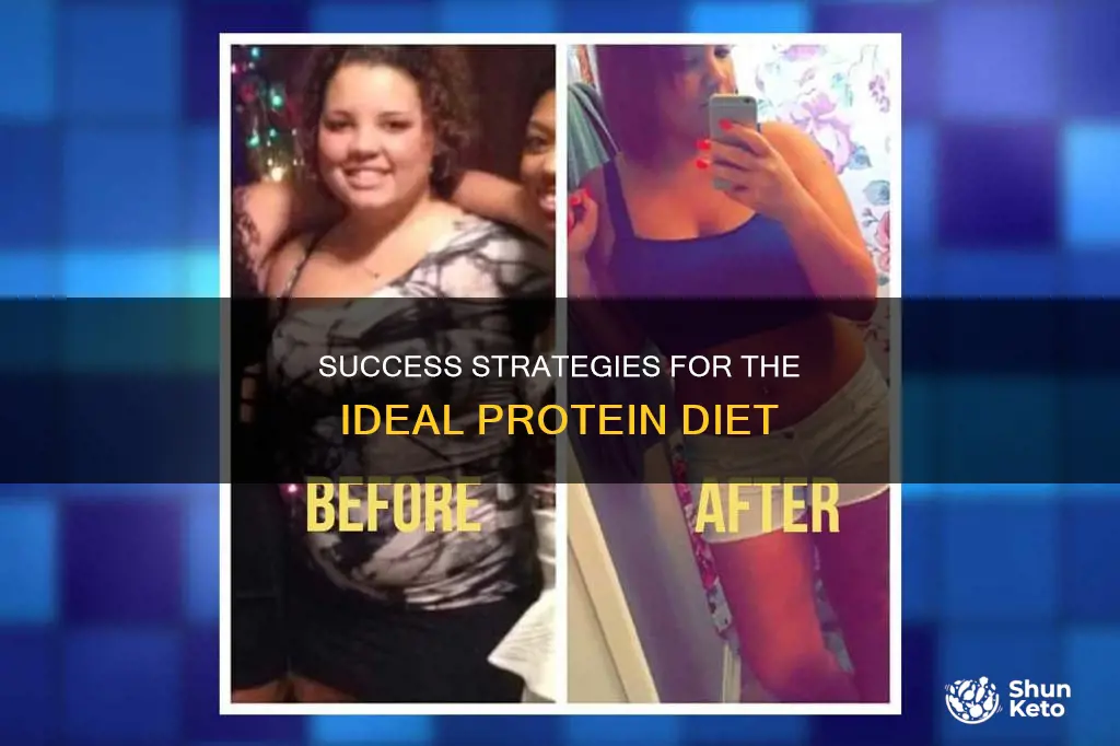 how to be successful on ideal protein diet