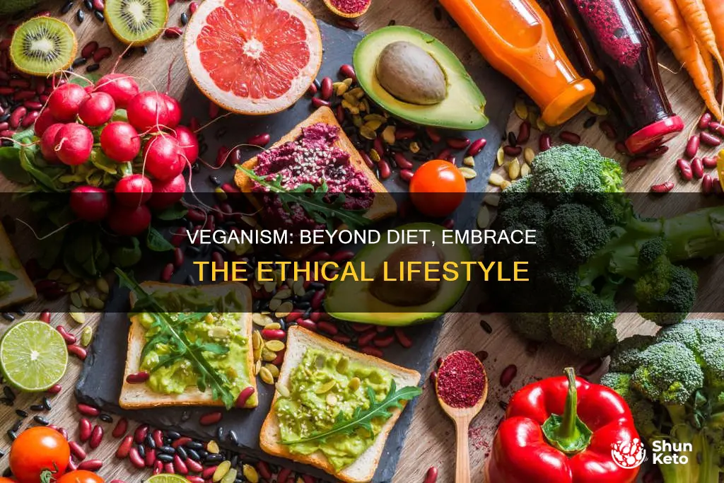 how to be vegan beyond diet