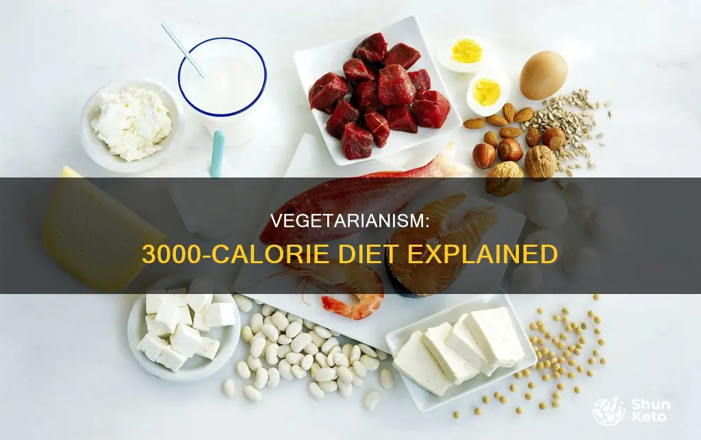 how to become a vegetarian on a 3000 calorie diet