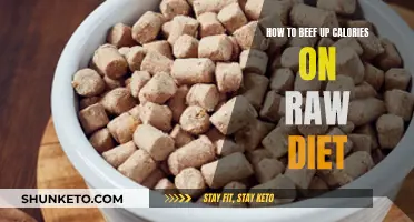 Boosting Calories: Strategies for Raw Diet Success