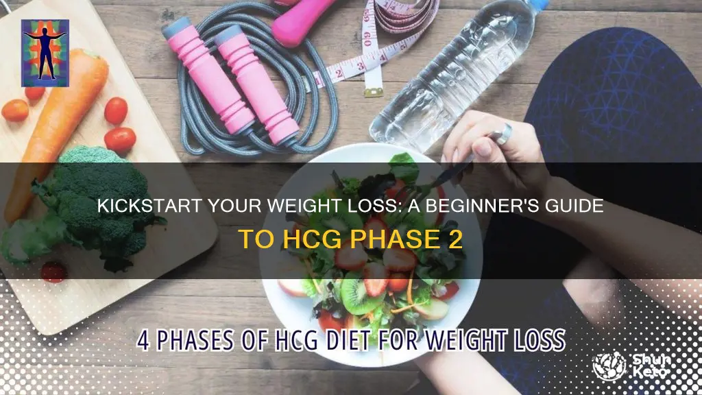 how to begin the hcg phase 2 diet