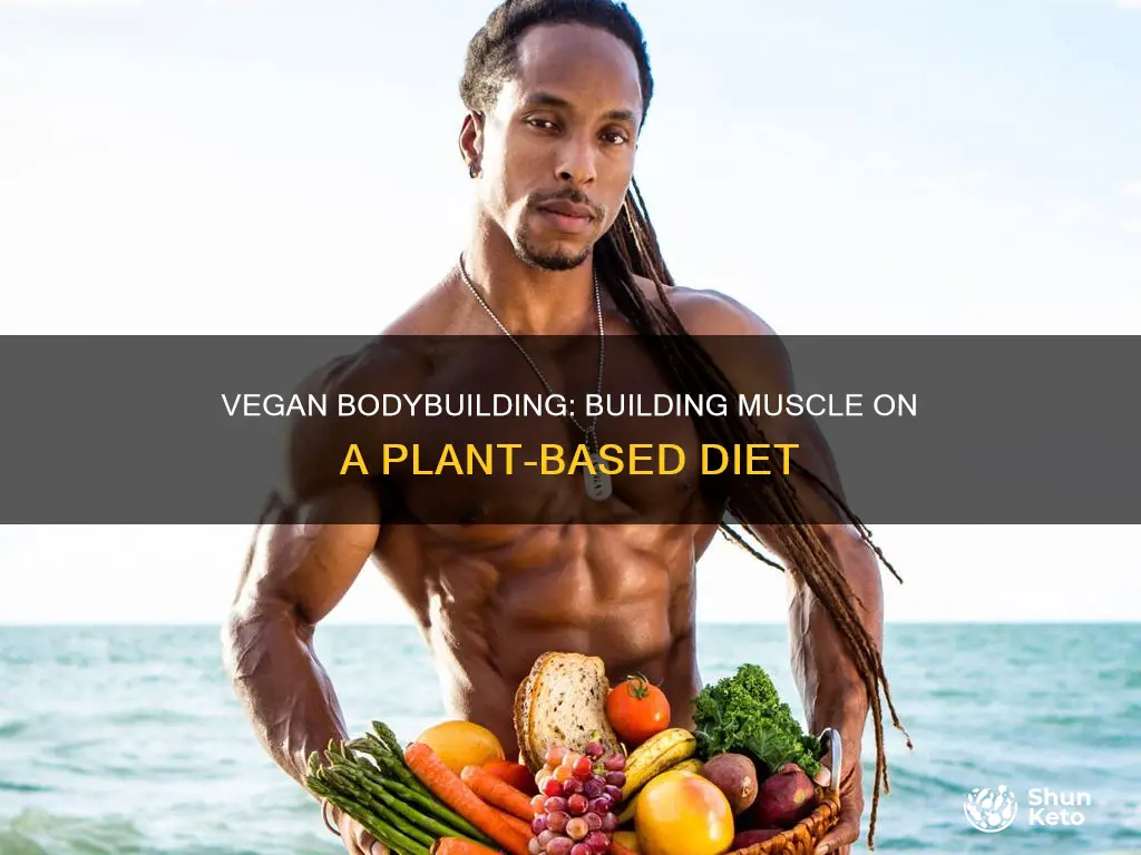 how to body build on a vegan diet