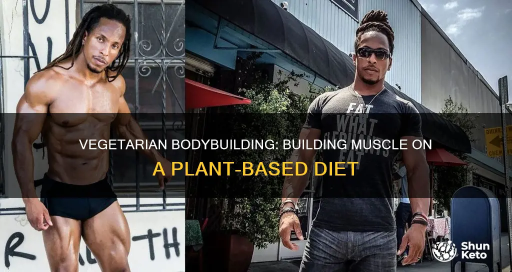 how to body build on a vegetarian diet