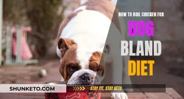 Boiling Chicken for Dogs: A Simple Guide to Bland Diets