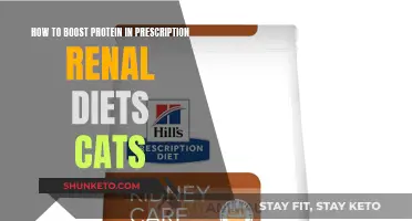 Boosting Protein in Renal Diets for Cats: Safe Strategies