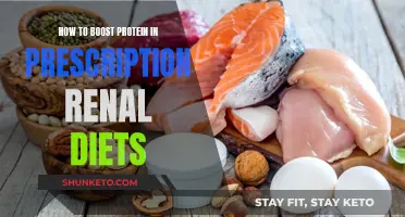 Boosting Protein in Renal Diets: Safe Strategies for Patients