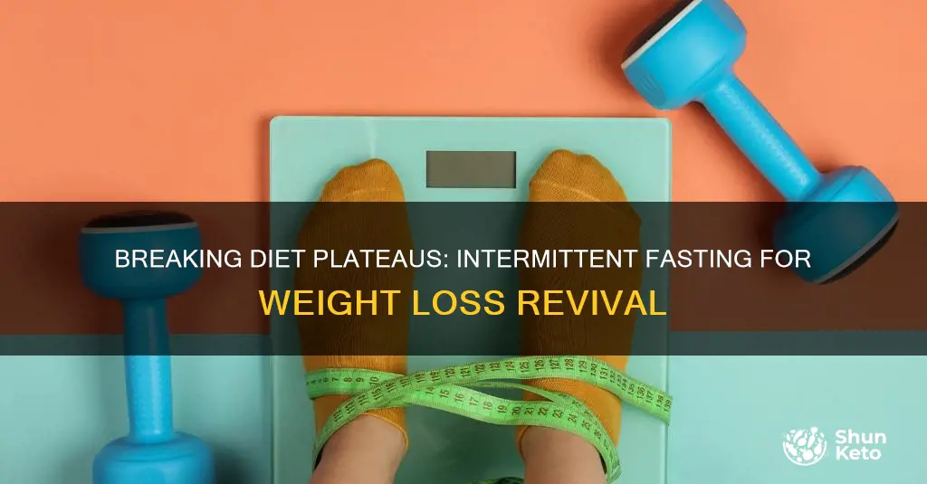 how to break a diet plateau with intermittent fasting