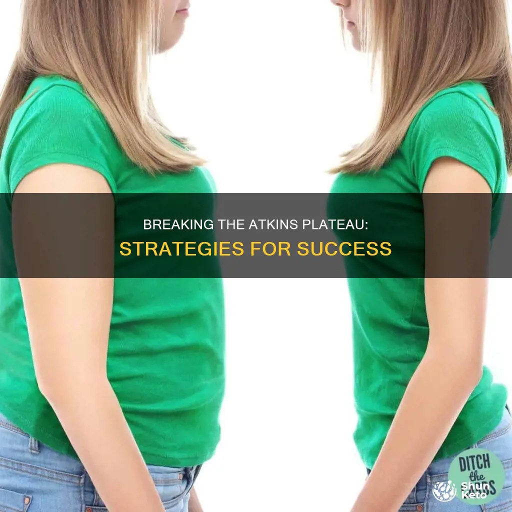 how to break a plateau on atkins diet