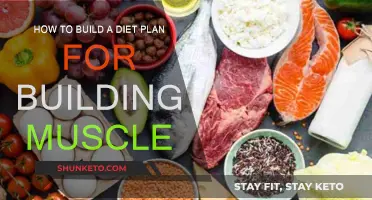 Building Muscle: Effective Diet Plan Strategies