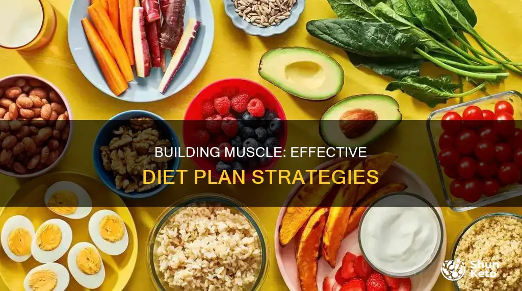 how to build a diet plan for building muscle