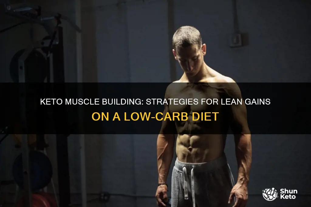 Keto Muscle Building: Strategies For Lean Gains On A Low-Carb Diet ...
