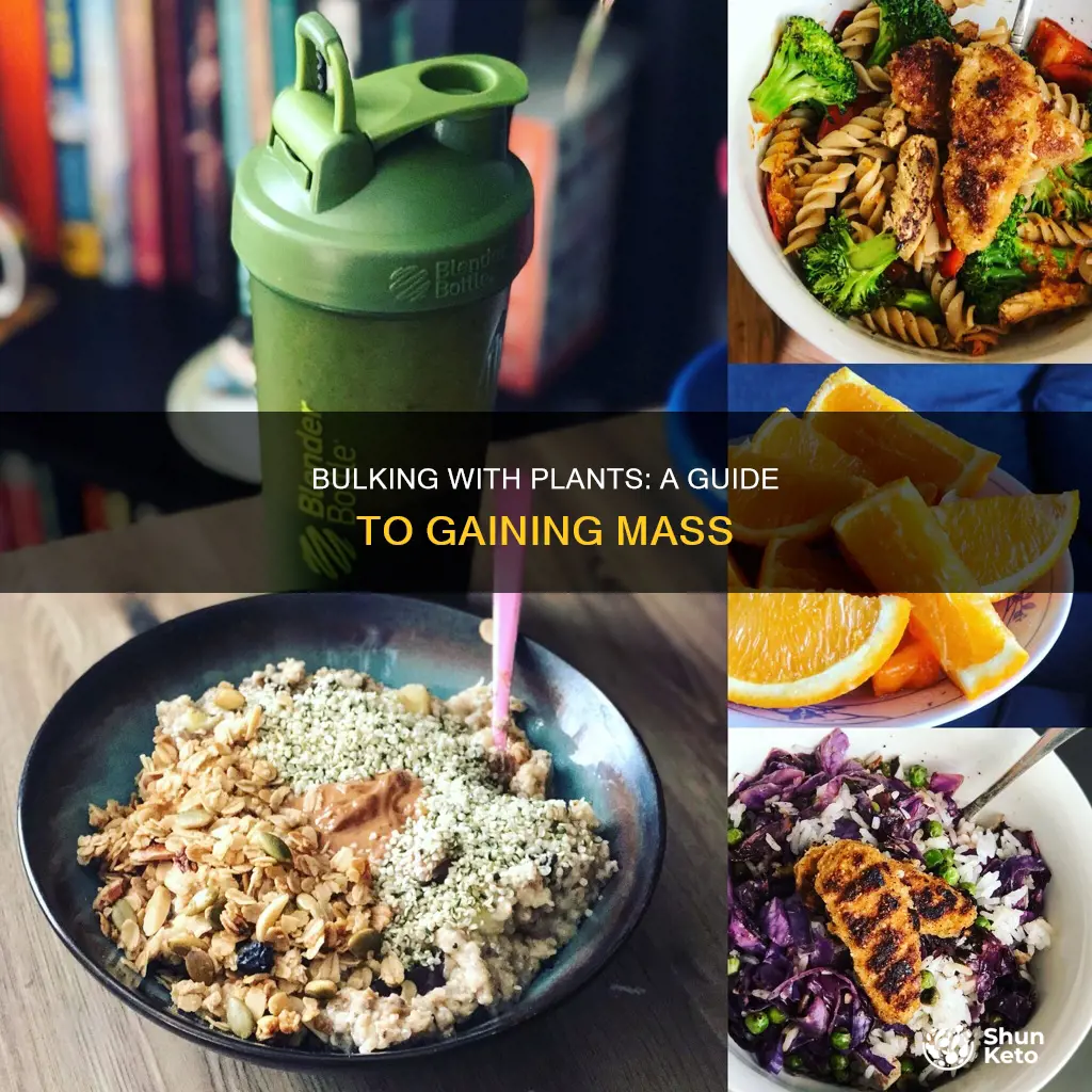 how to bulk off a plant based diet